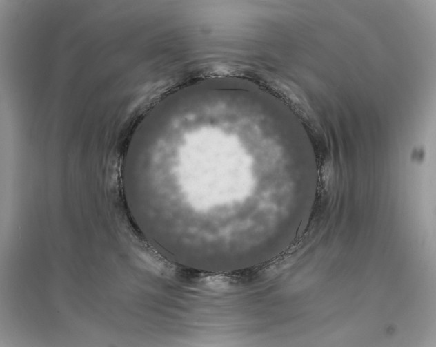 X0000094430423200711291537