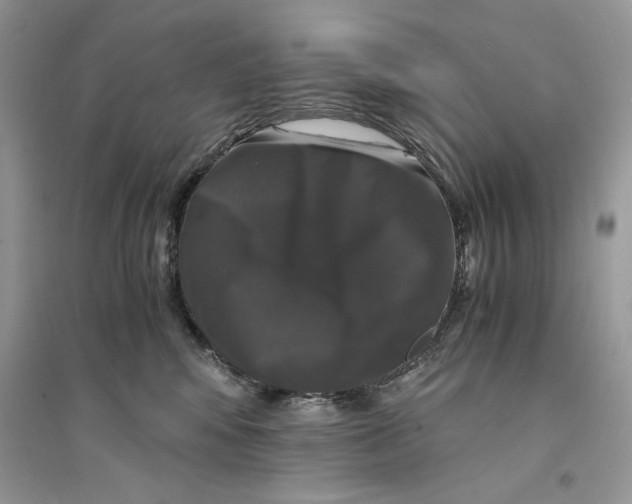 X0000094430424200711291537