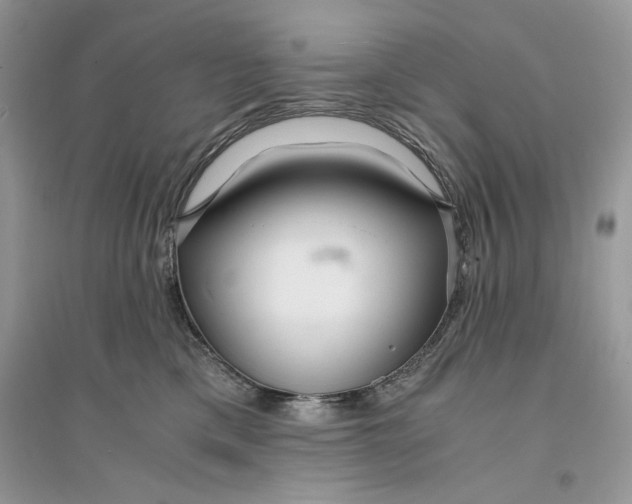 X0000094430425200711291537