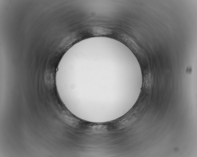 X0000094430426200711291537