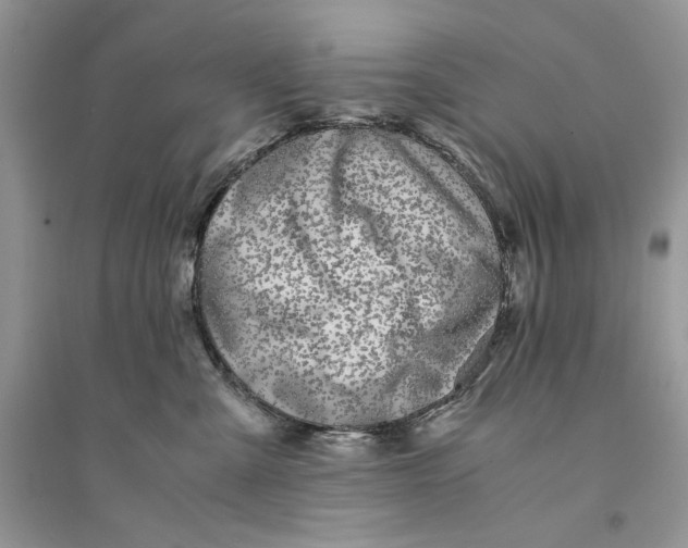 X0000094430427200711291537