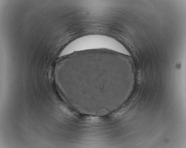 X0000094430428200711291537