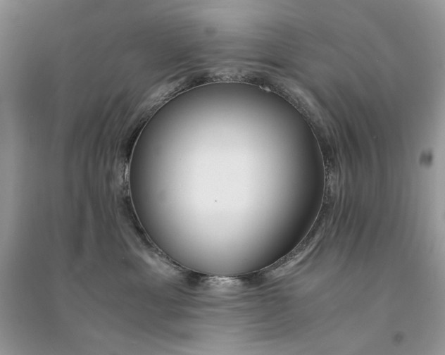 X0000094430429200711291537