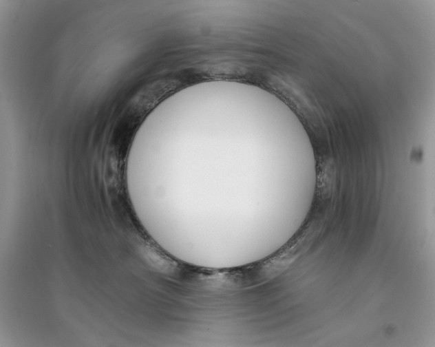 X0000094430430200711291537