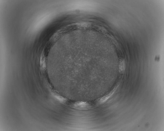 X0000094430431200711291537