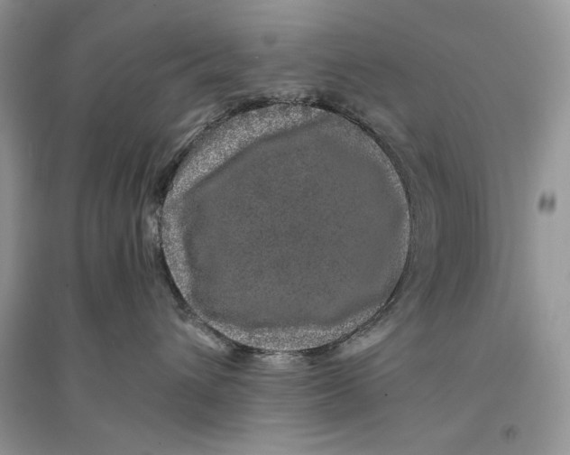 X0000094430432200711291537