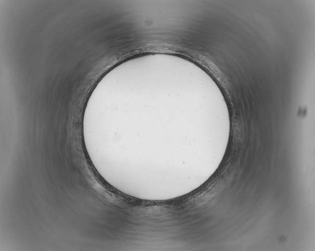 X0000094430433200711291536