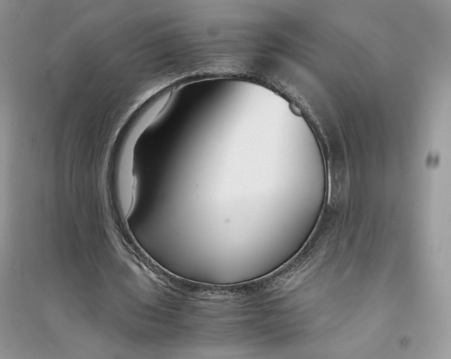 X0000094430435200711291536