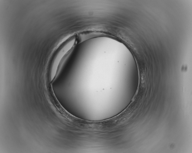 X0000094430436200711291536