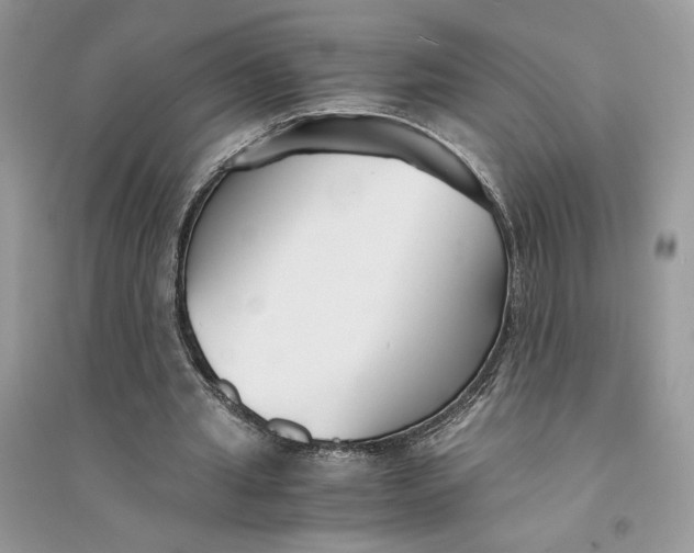 X0000094430437200711291536