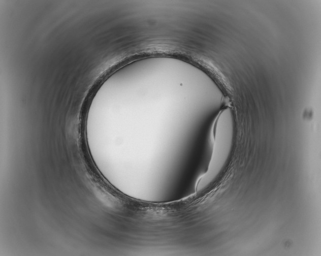 X0000094430439200711291536