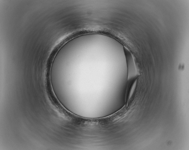 X0000094430440200711291536