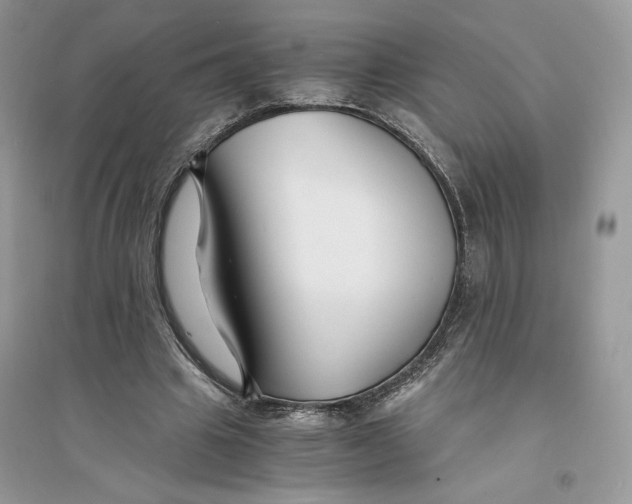 X0000094430441200711291536