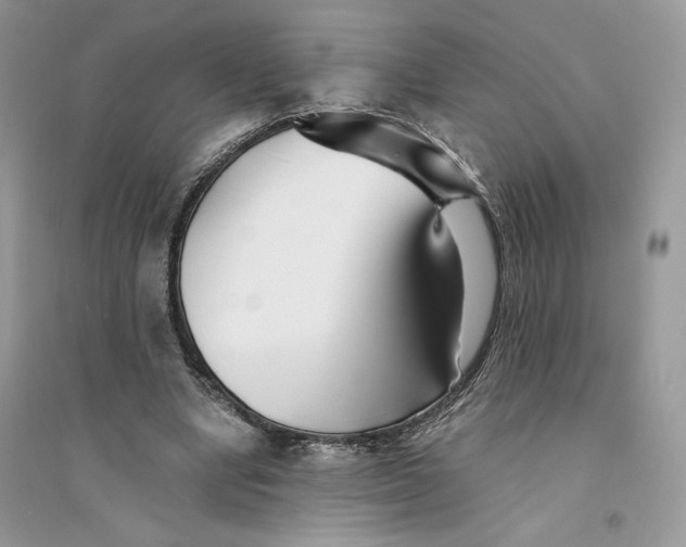 X0000094430442200711291536