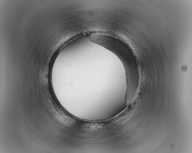 X0000094430443200711291536