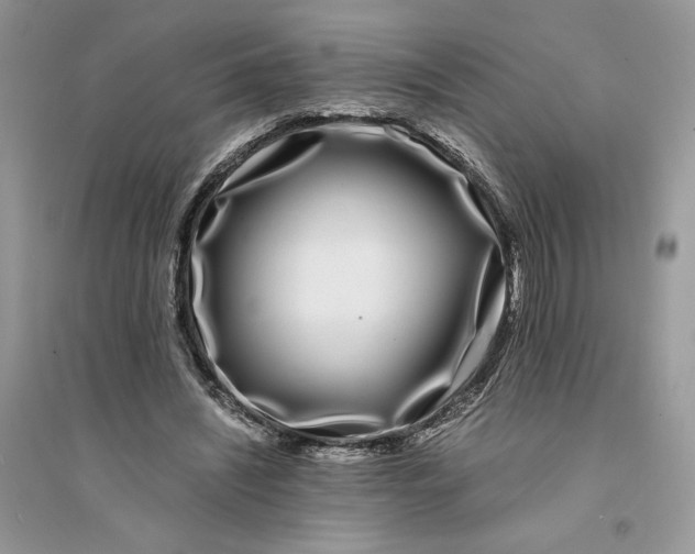 X0000094430444200711291536