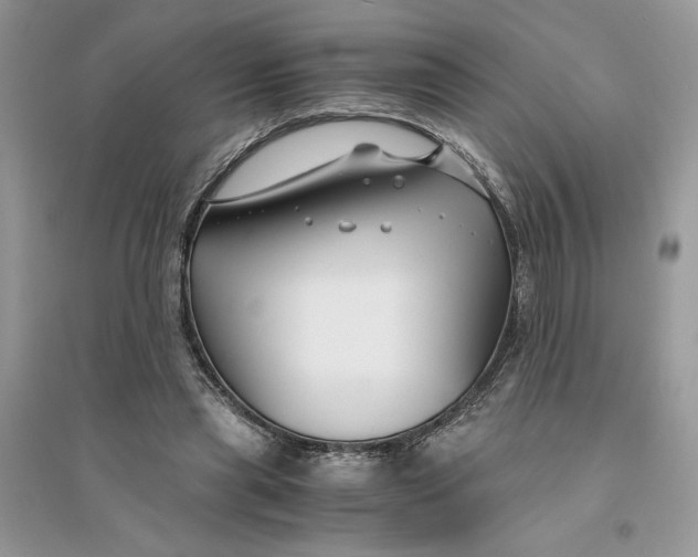 X0000094430445200711291536