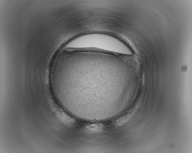 X0000094430447200711291536