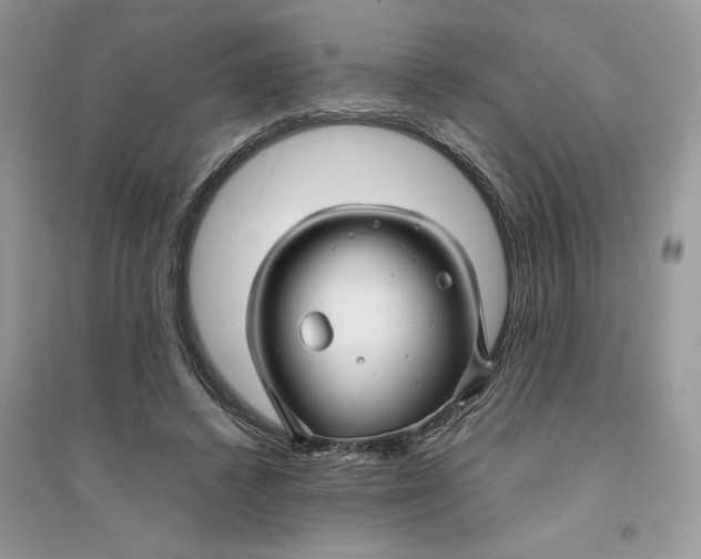 X0000094430448200711291536