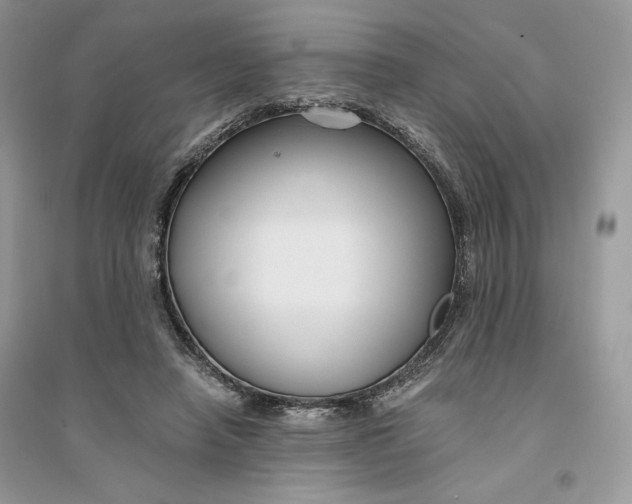 X0000094430450200711291536