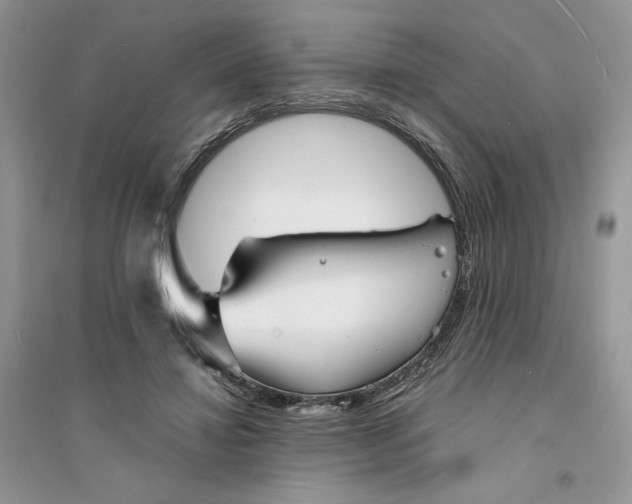 X0000094430452200711291536