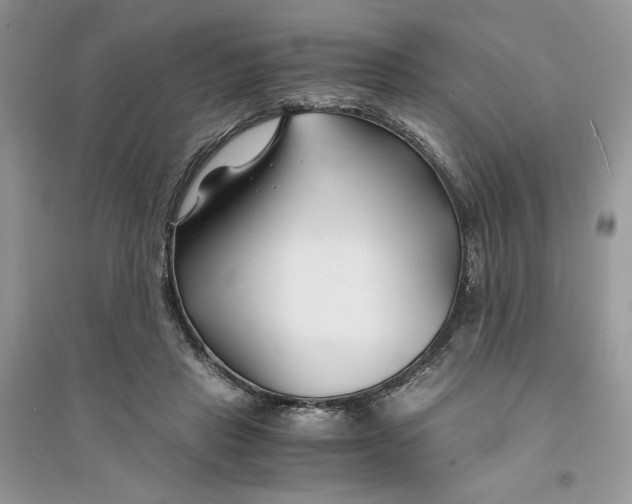 X0000094430453200711291536