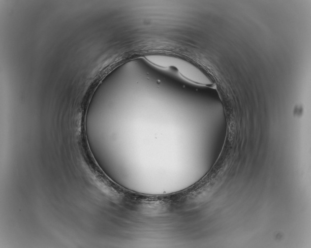 X0000094430454200711291536