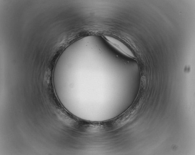 X0000094430458200711291536