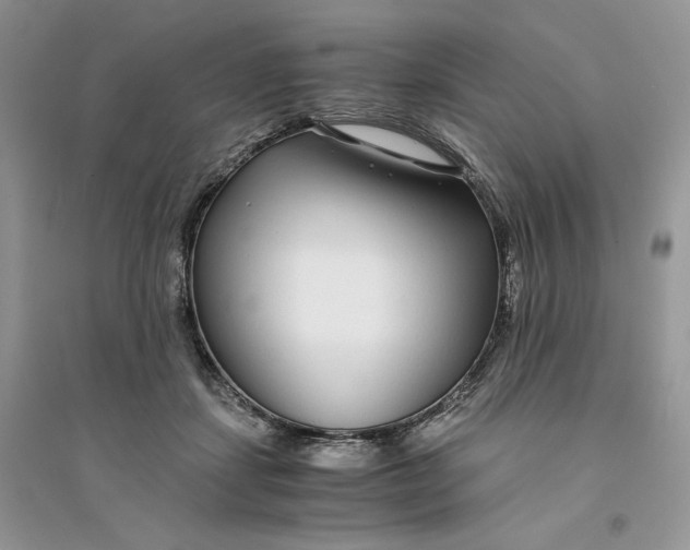 X0000094430459200711291536