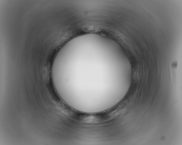 X0000094430460200711291536