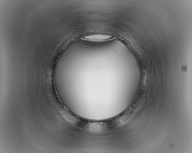 X0000094430461200711291536