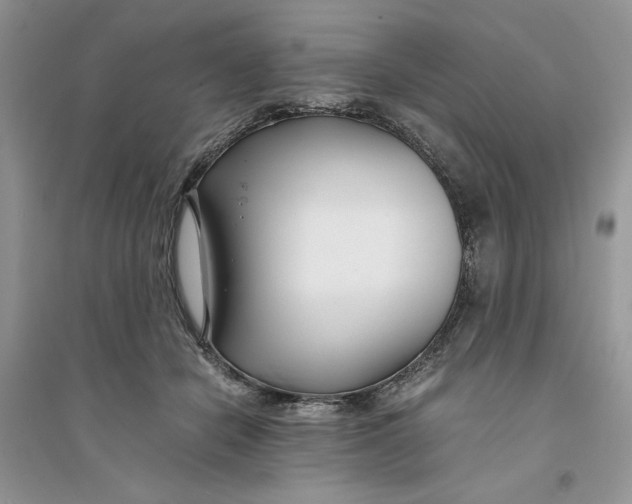 X0000094430462200711291536