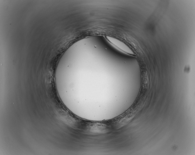 X0000094430463200711291536