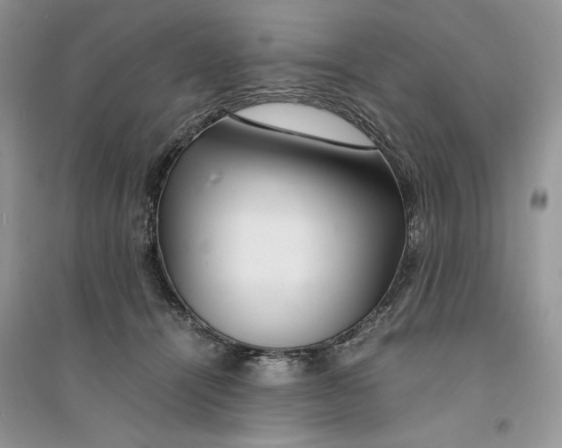 X0000094430464200711291536