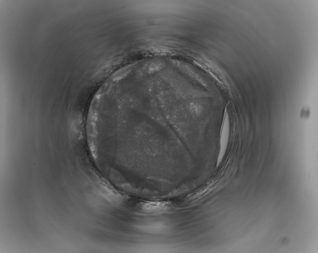 X0000094430465200711291536