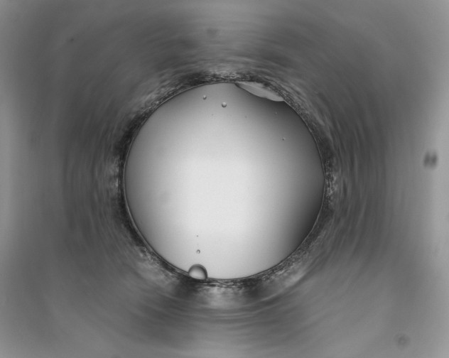 X0000094430466200711291536