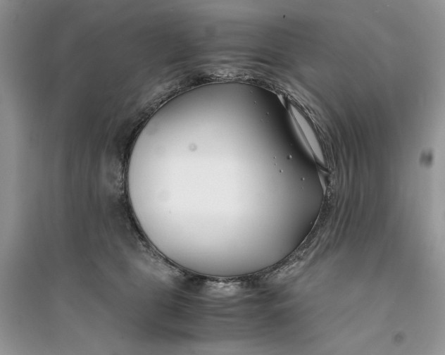 X0000094430469200711291537