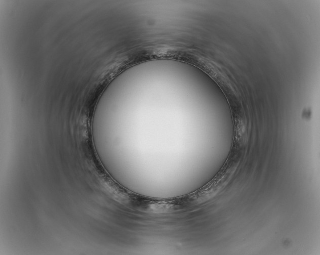 X0000094430470200711291537