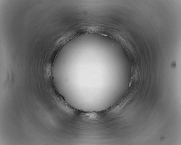 X0000094430478200711291537