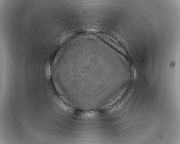 X0000094430479200711291537