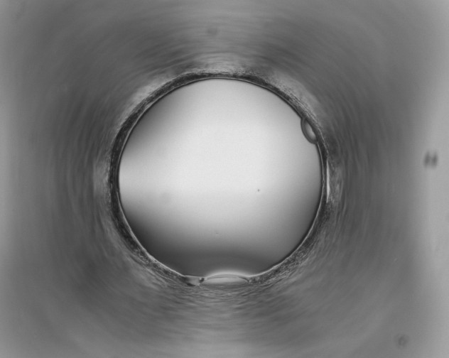 X0000094430483200711291536