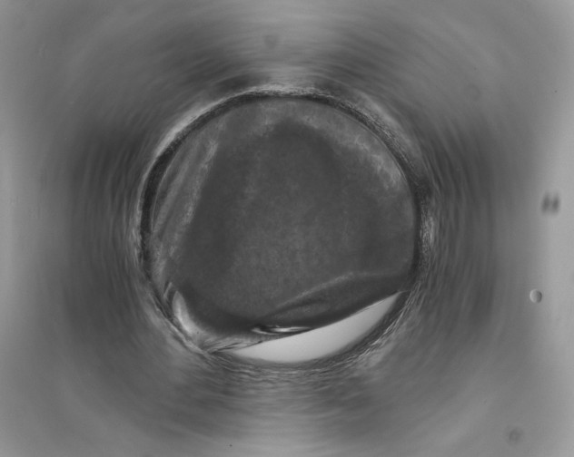 X0000094430484200711291536