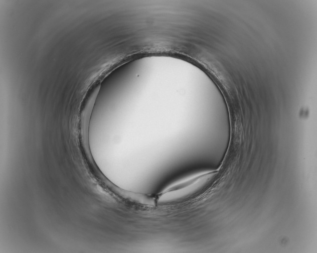 X0000094430485200711291536