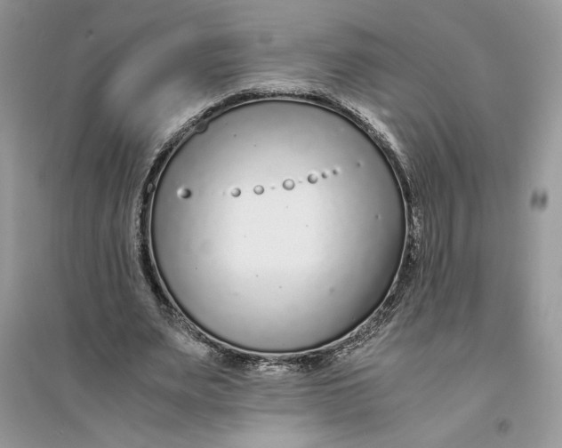 X0000094430487200711291536