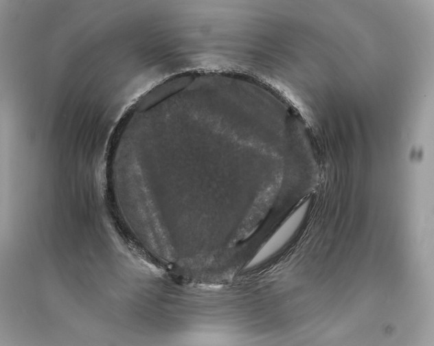 X0000094430488200711291536