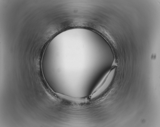 X0000094430489200711291536