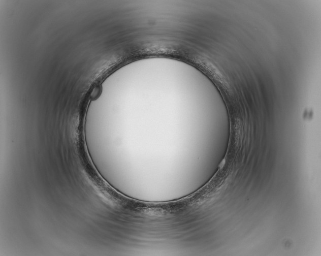 X0000094430490200711291536