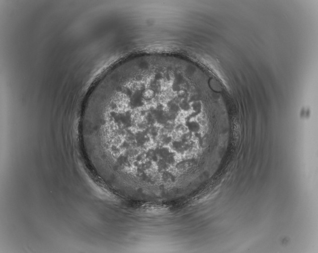 X0000094430491200711291536