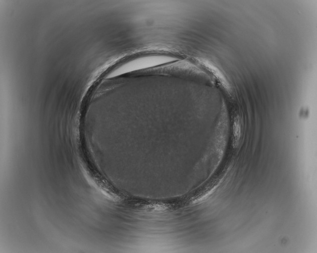 X0000094430492200711291536