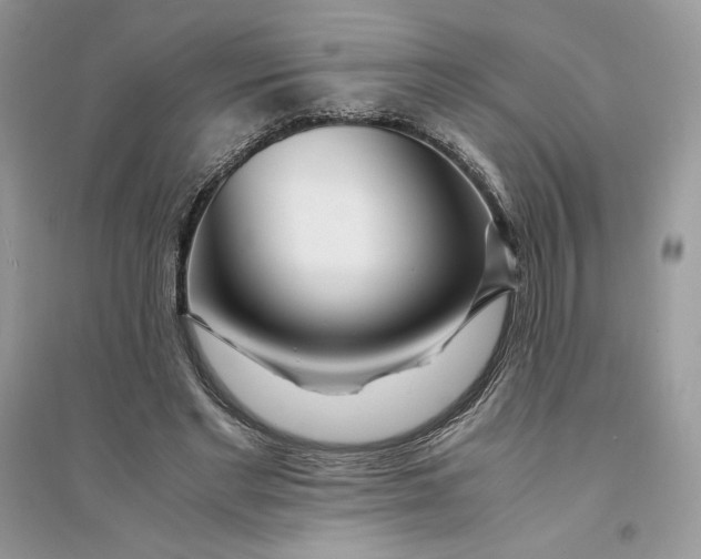 X0000094430493200711291536